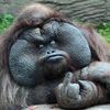 Bigdaddy