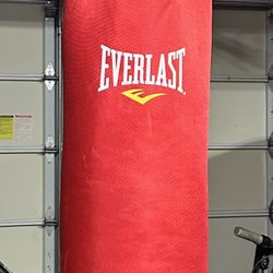 Everlast Boxing Heavy Bag