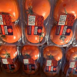 Organic Tomatoes 🍅 Tomates Organicos 