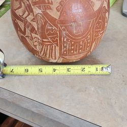 Peruvian Gourd