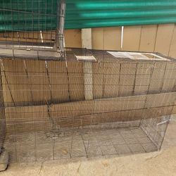 Bird Cages