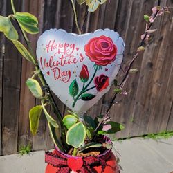 Valentines Day Arrangementma