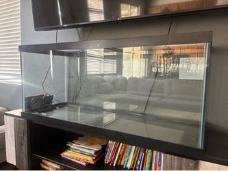 Aquarium Tank