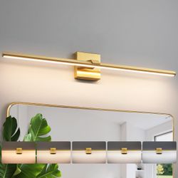 Vanity light or sconce