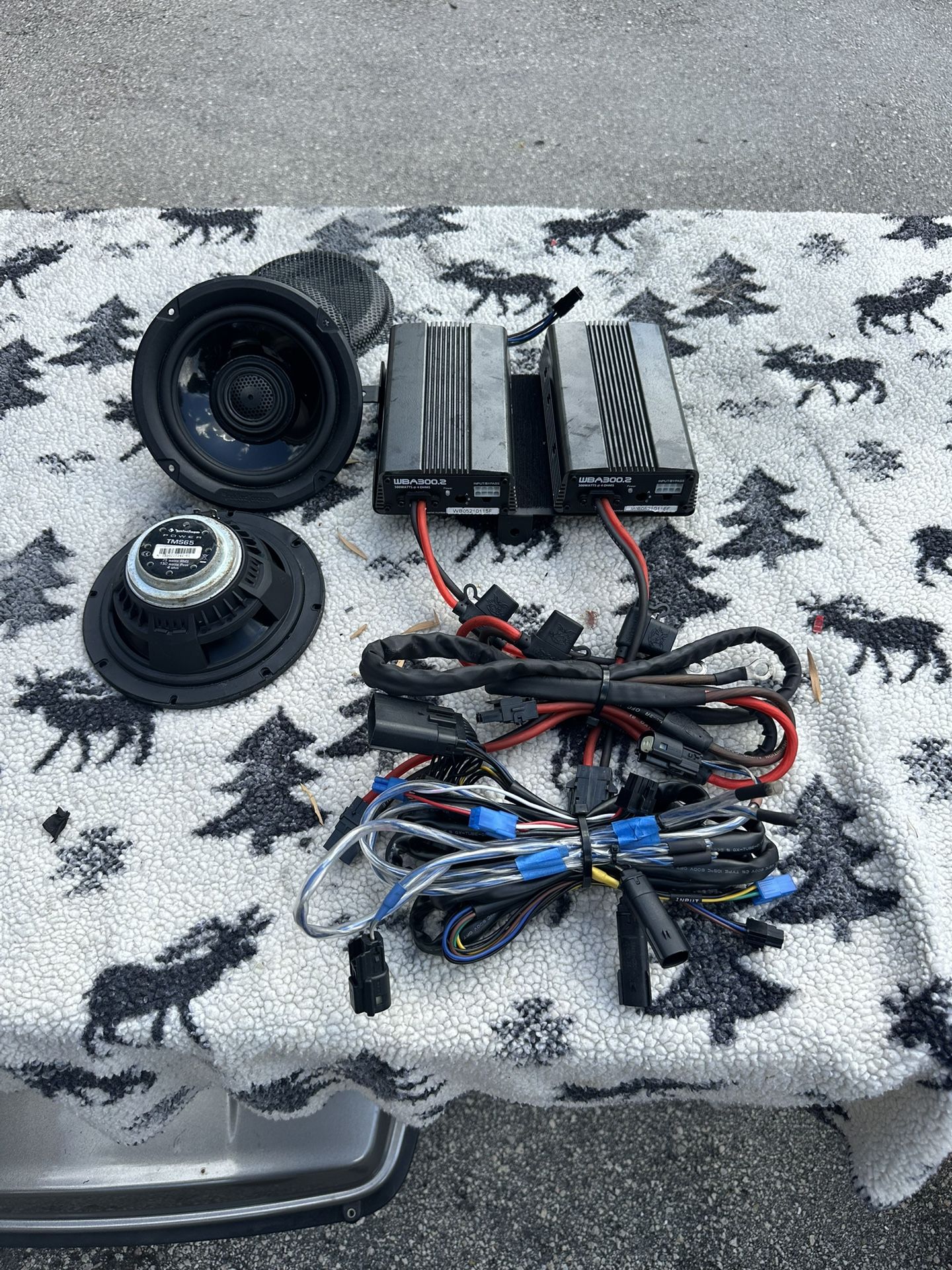 Complete 600 Watt Wild Boar Amps With Speakers