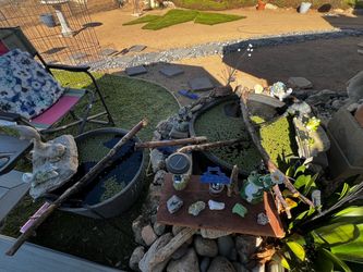 2 mini ponds