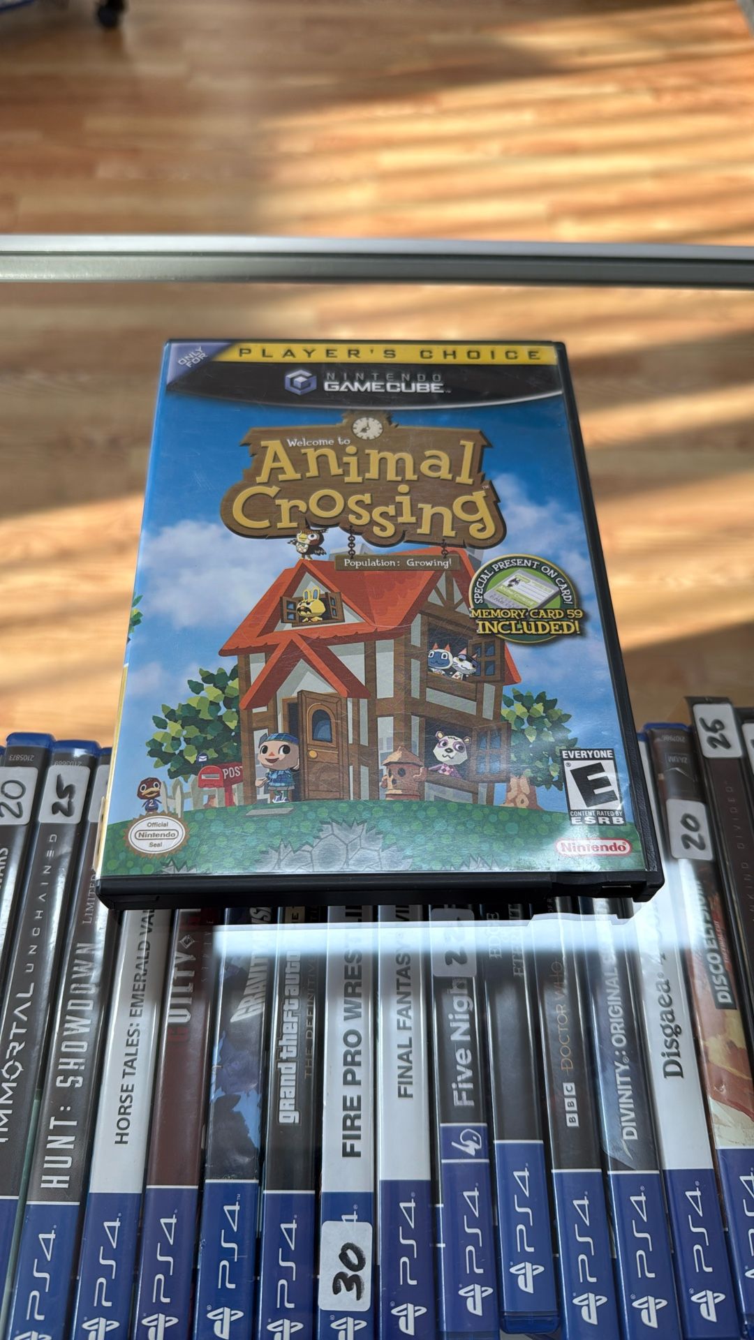 Animal Crossing GameCube