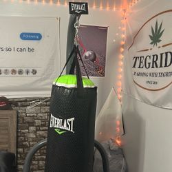 Everlast 70lb Punching Bag With Stand