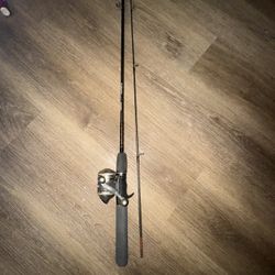 Not Sure Good Fishing Pole 