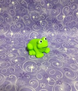 Squeaky frog