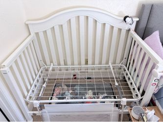 FREE baby crib