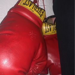 Everlast Boxing Gloves