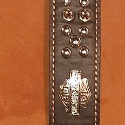 Harley Davidson Spiked Dog Collar