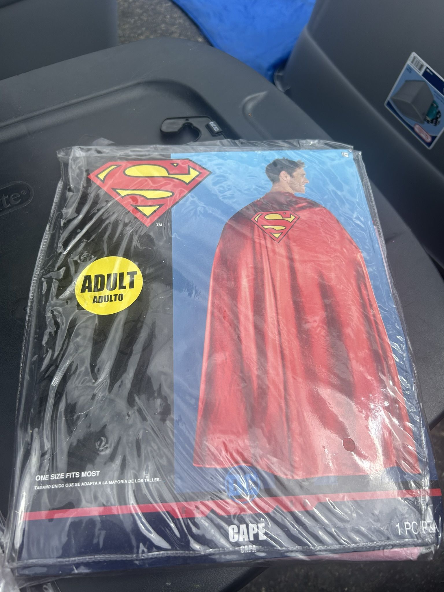 Halloween Costume