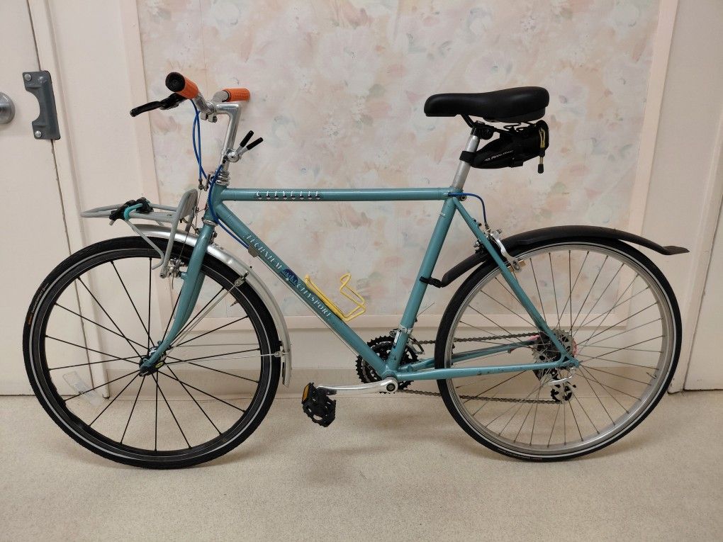 Raleigh Technium City Sport ' Frankenbike Grocery Getter' - 19.5"