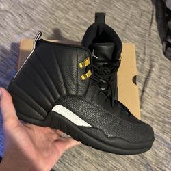 Jordan 12 Master