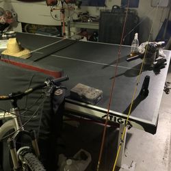 Freshwater Fishing Rod