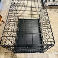 XL Dog Crate - Folding Metal Wire Crate w/ Tray & Divider (You & Me Brand)
