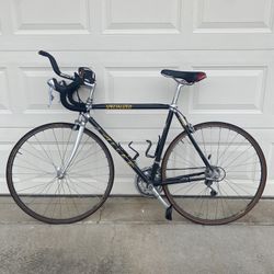 Specialized Alex Epic Road Bike Carbon Fiber