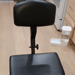 Proline PL2100 Musician's Performance Chair