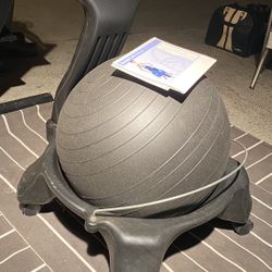 Exercise Ball Gym Seat 