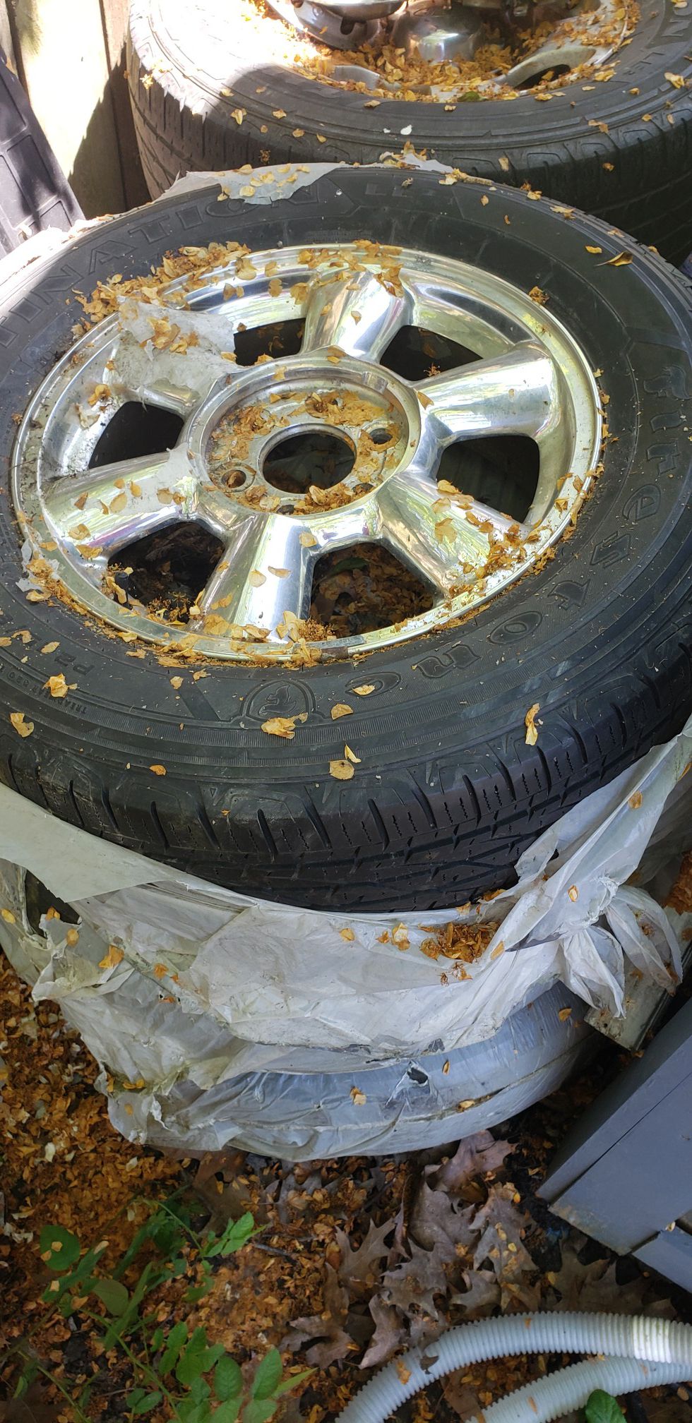 Gmc envoy truck tires and rims