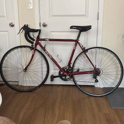 Fuji Ace Road Bike