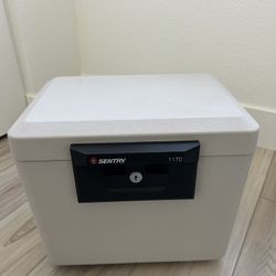 SentrySafe Fireproof Document Box