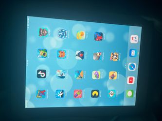 Apple iPad 2 – 16GB – Ready to Use