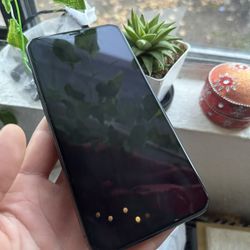iPhone 12 Max 