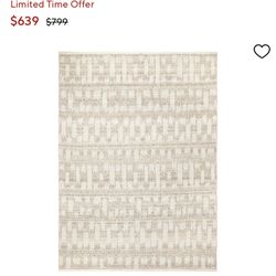 Pottery Barn Outdoor Rug 8x10