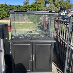 20 Gallon Fish Tank 