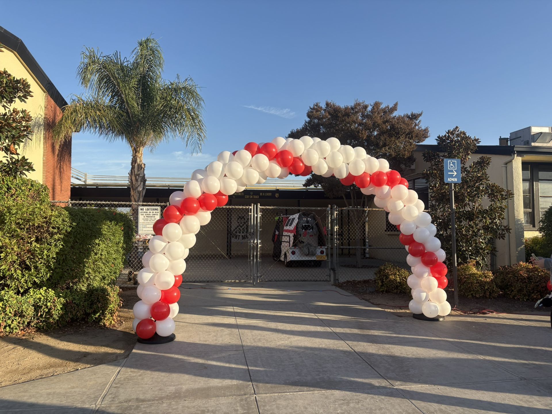 Balloon Garland Special