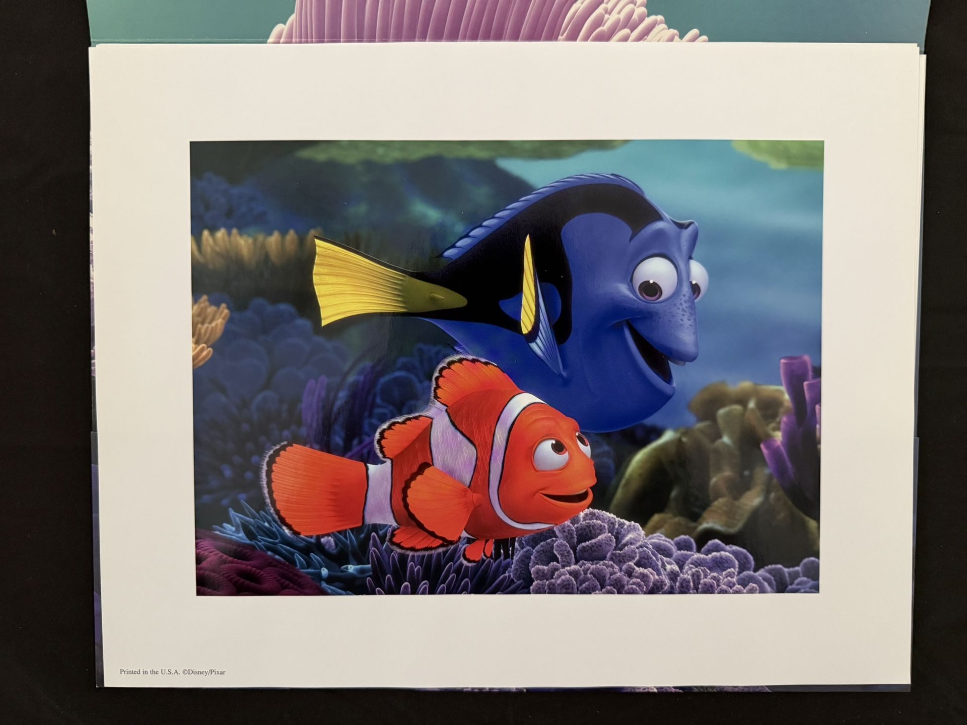 Disney Store Finding Nemo