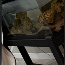 2 TANKS WITH STANDS AND EXTRA TANK STUFF ! 1st 50 GALLON ,L 36" W 18" H 20"  !SECOND ONE IS 100 GALLON ,L72" W 18" H 20" IN GOOD USED CONDITION 