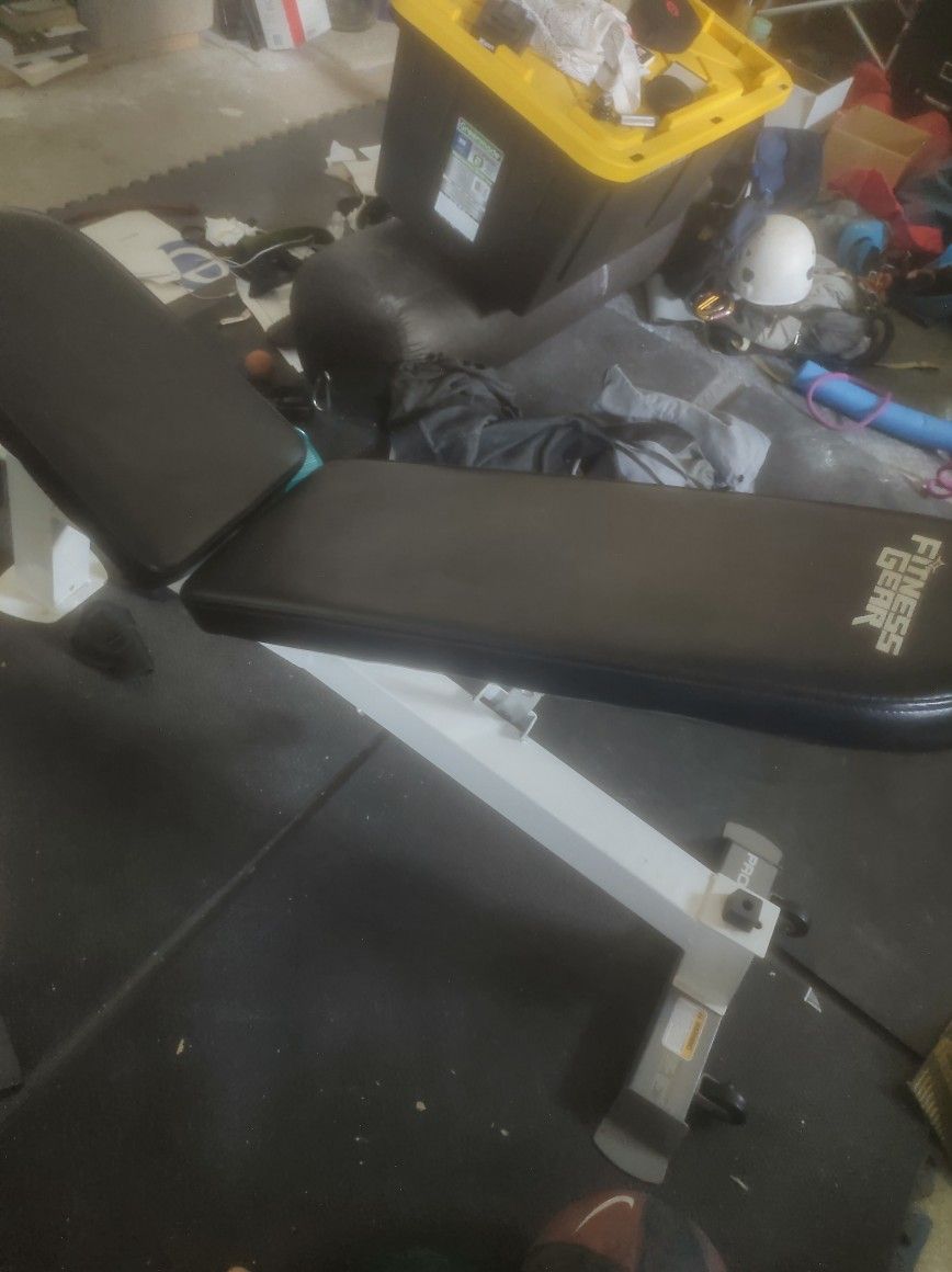Gym Quality Dumbbell Weight Bench