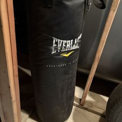 Everlast Heavy Bag