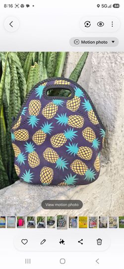 Neoprene Lunch Tote, Insulated Picnic Lunch Bag, Waterproof, Machine Washables