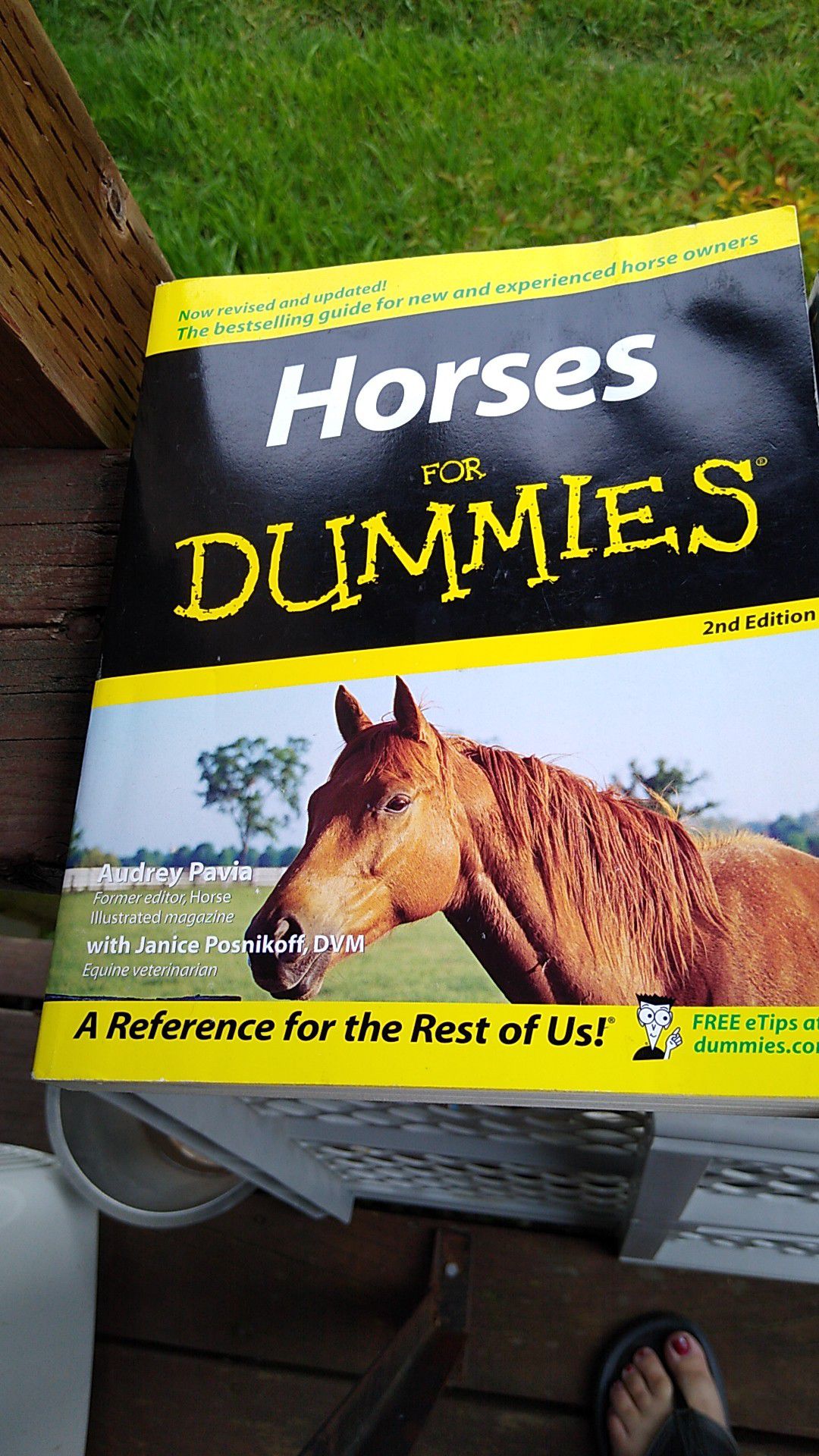 Horse books