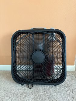 Fan