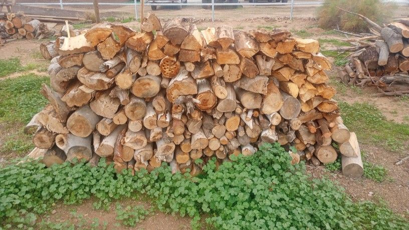 Firewood 