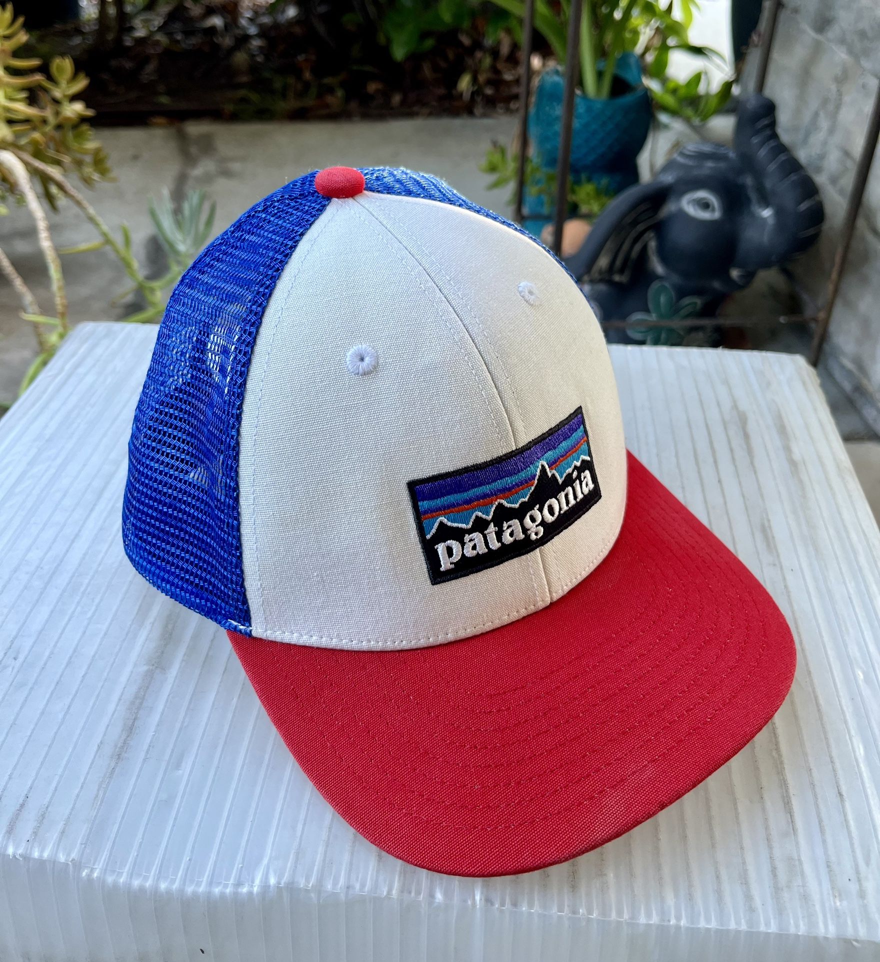 Patagonia Trucker Snapback Hat.