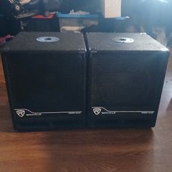 2 10inch  Dj Subwoofers 