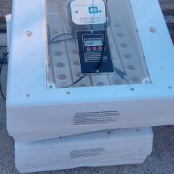 Egg Incubator 