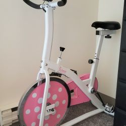 The Sunny Health & Fitness Pink Indoor Cycling Bike - P8100