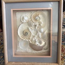 Sea Shell Wall Art