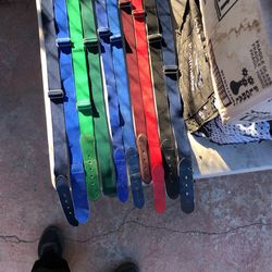 Baseball Belt’s