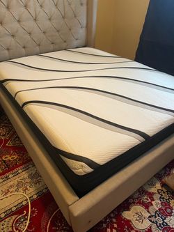 NEW  Mattresses! 😎