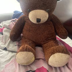 Human Medium Size Brown Plushy Teddy 