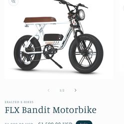 FLX Bandit e bike